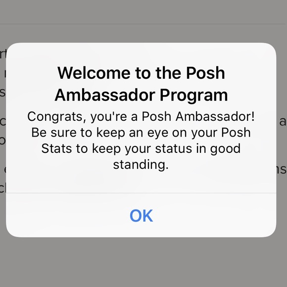 POSHMARK AMBASSADOR - Picture 2 of 4